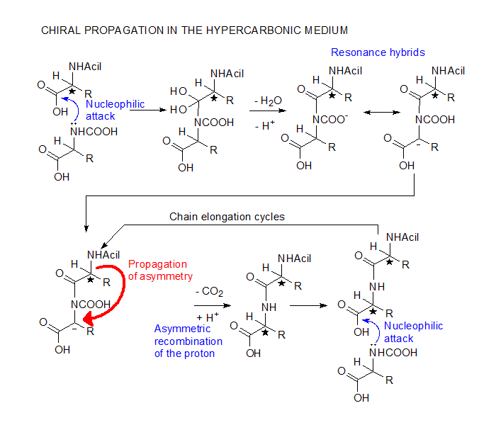 Chiral propagation - Origin of biological homochirality