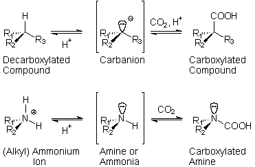 Carboxylations