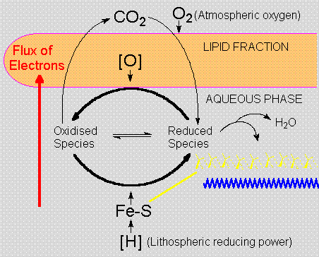 Protobiological aggregates