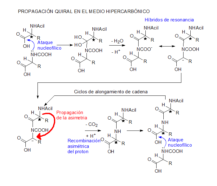 Propagación quiral Origen de la homoquiralidad biológica