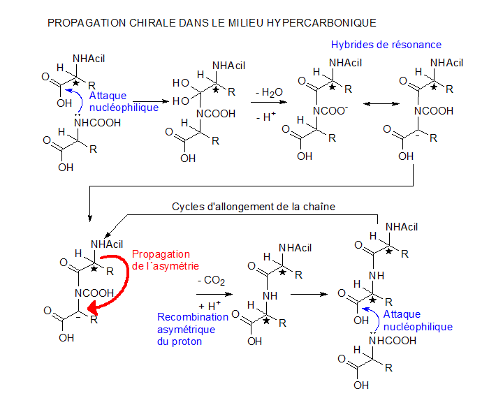 Propagation chirale - Origine de l'homochiralité biologique